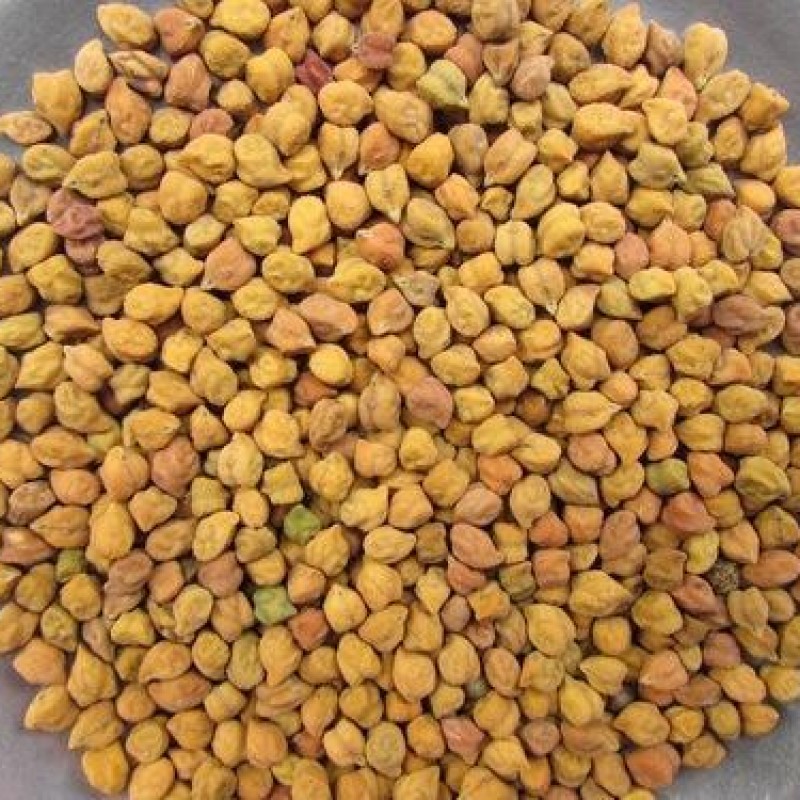 Bengal gram